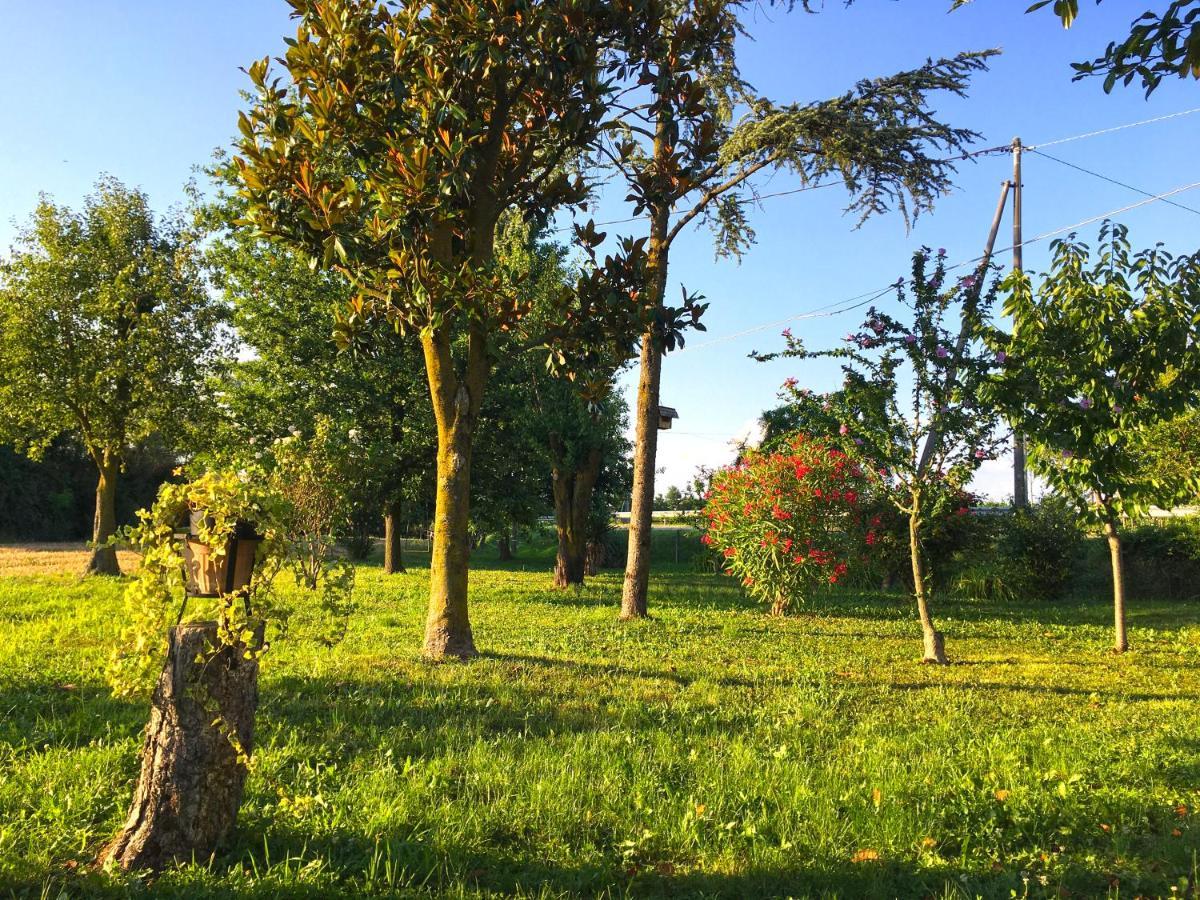 Ca' Rosin Meolo - Camera Tra Relax E Privacy Buitenkant foto
